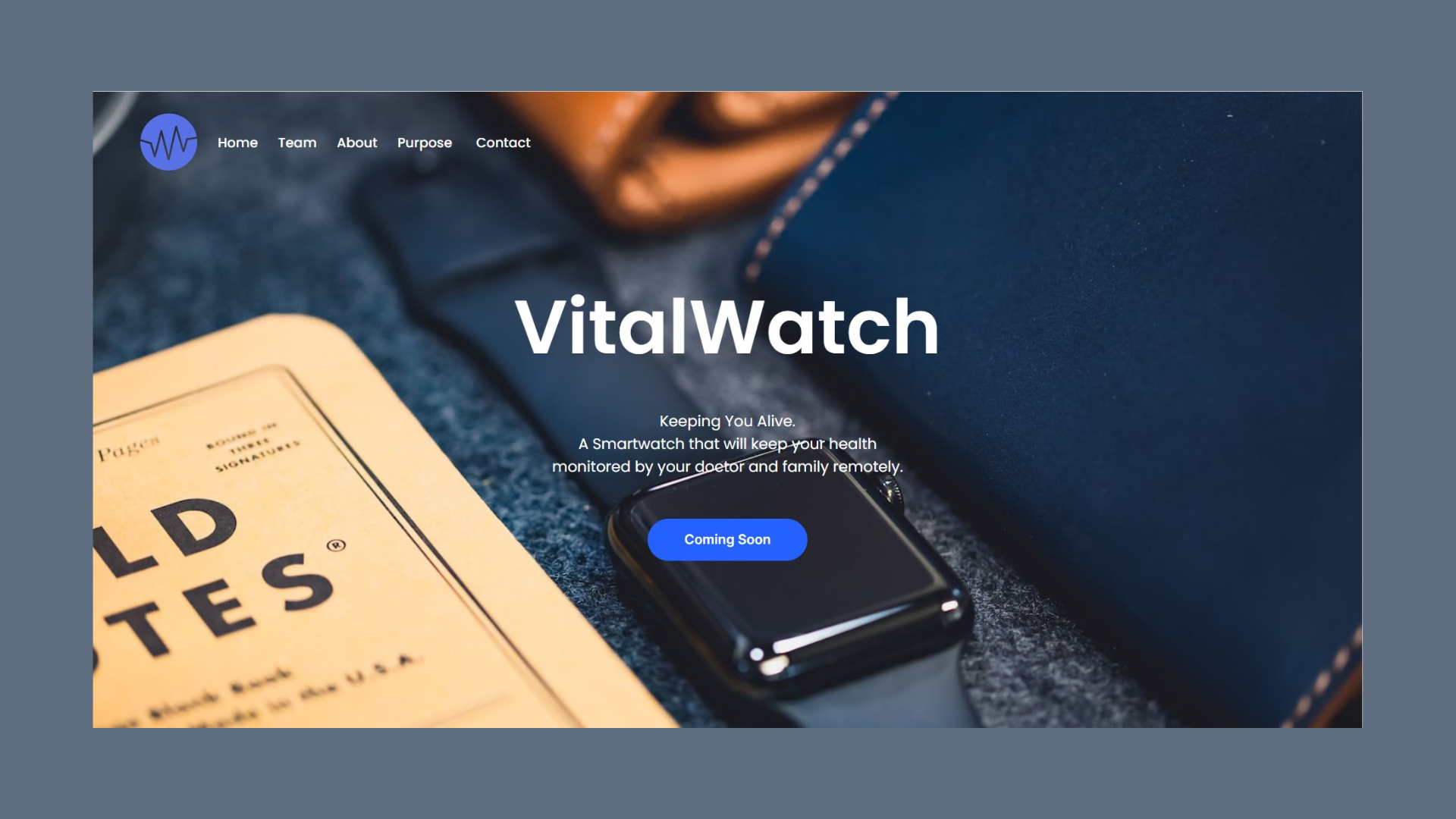 Logo of VitalWatch project